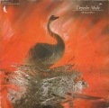 Speak And Spell